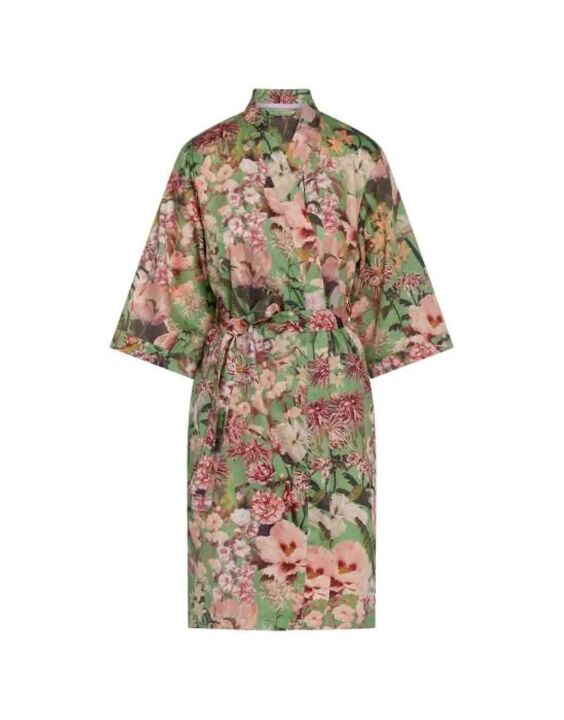 Sarai Noleste kimono