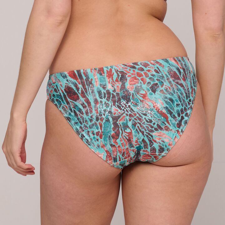 Riyad Bikinislip Rio